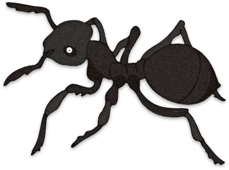 Free ant clipart black ants