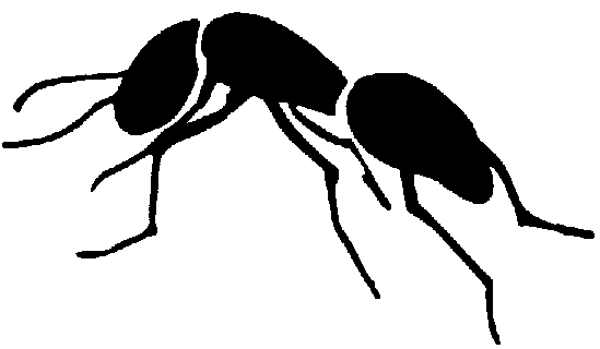 Free ants clipart free clipart images graphics animated s 3