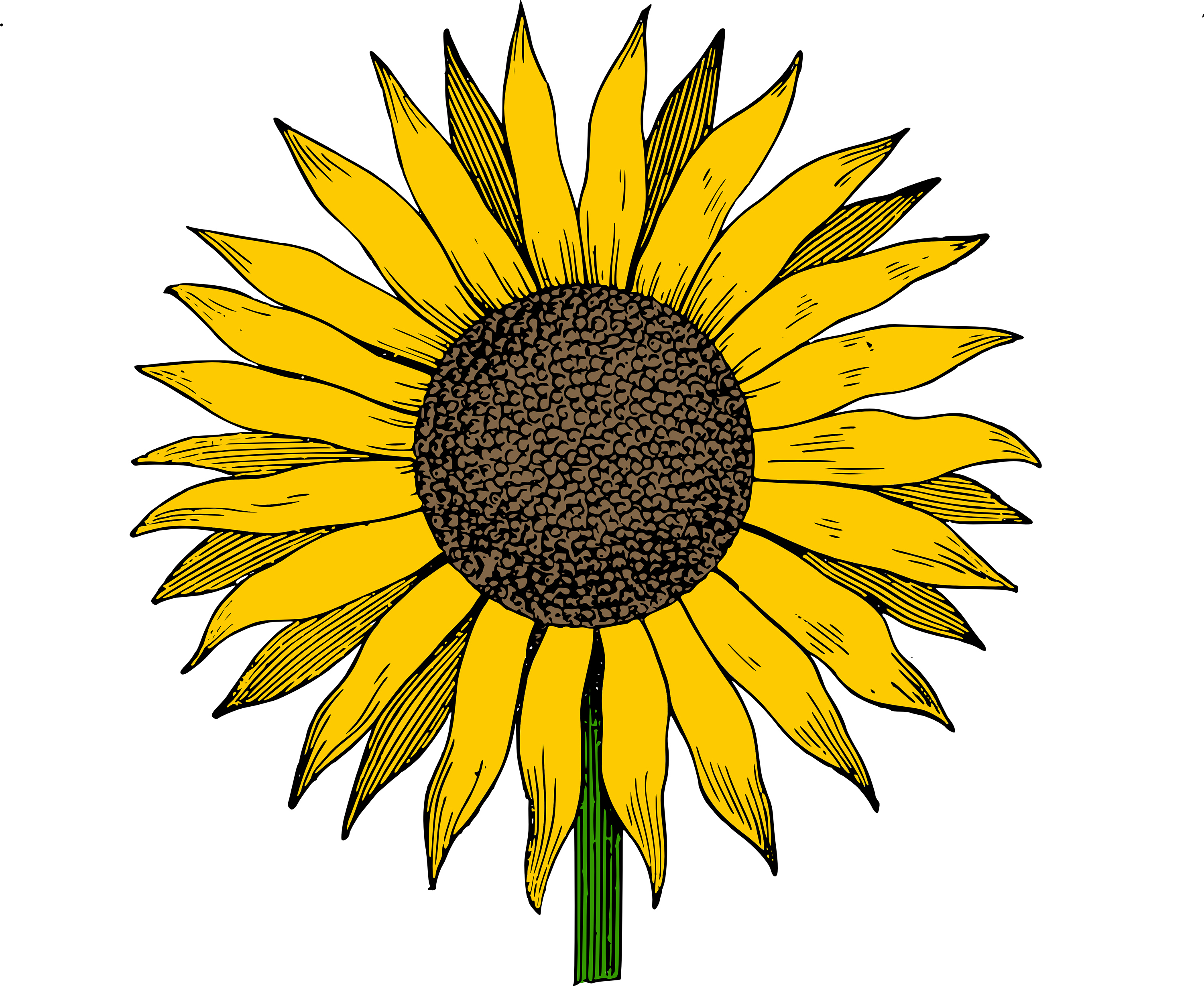 Free clip art sunflower vector image clip art department