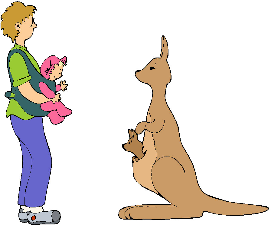 Kangaroo graphics and animated s