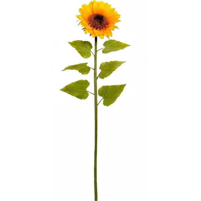 Long stem sunflower clipart