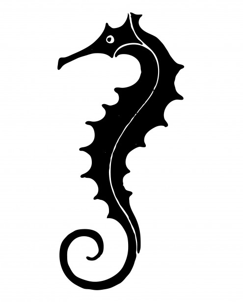 Seahorse clipart free stock photo public domain pictures