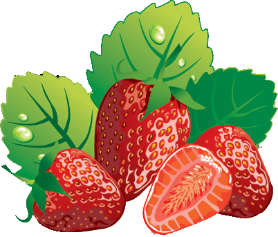 Strawberry gallery fruit