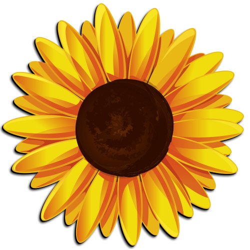 Sunflower clipart 1 2