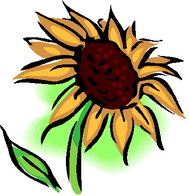 Sunflower clipart 7