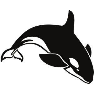 Orca whale clipart clipart