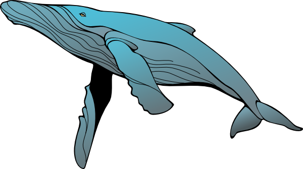 Whale clip art 3