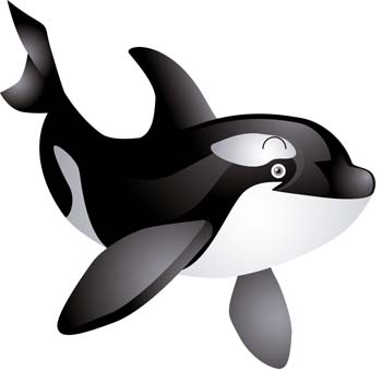 Whale clip art 4