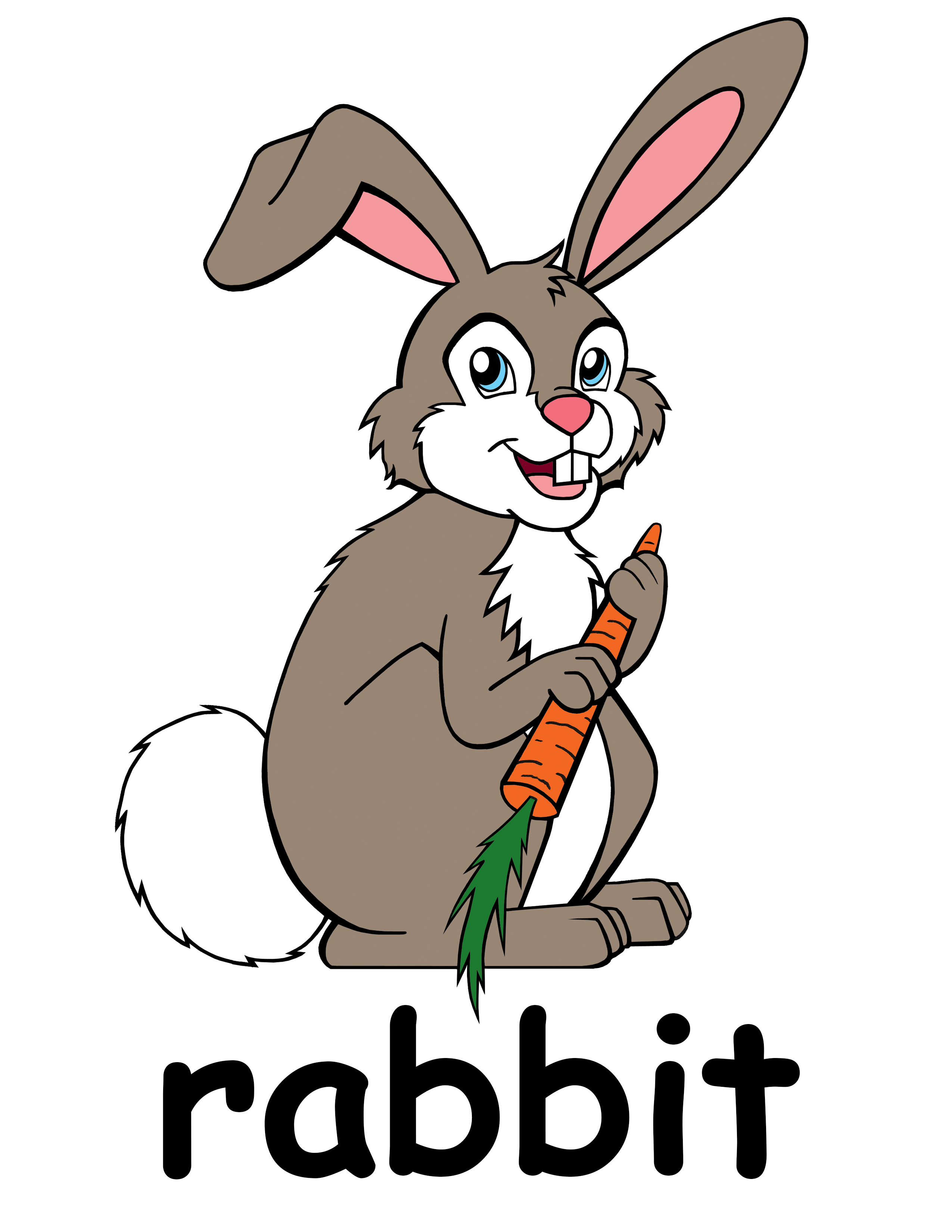 Bunny rabbit cartoon pictures clipart