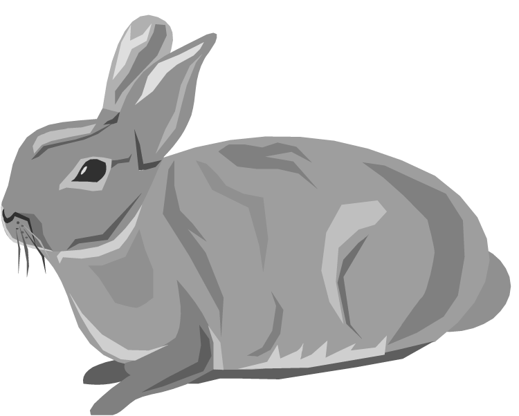 Gray gray rabbit clipart