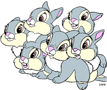 Rabbits cartoon pictures clipart