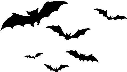 Flying bats clipart images