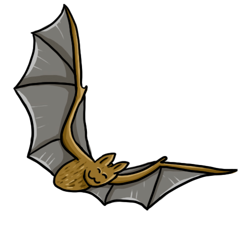 Free bat clip art drawings and colorful images 2