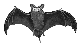 Free bats clipart free clipart images graphics animated s