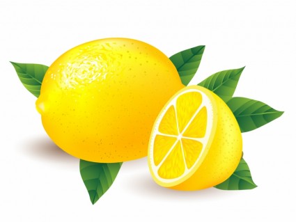 Lemon gourmet clip art download