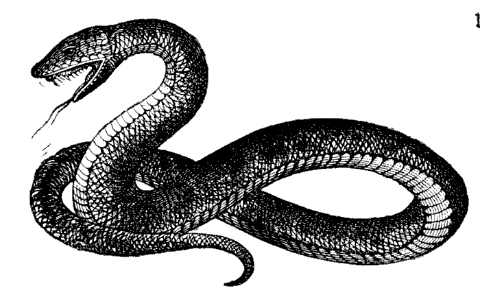 Snake energy power snakes clip art and blood