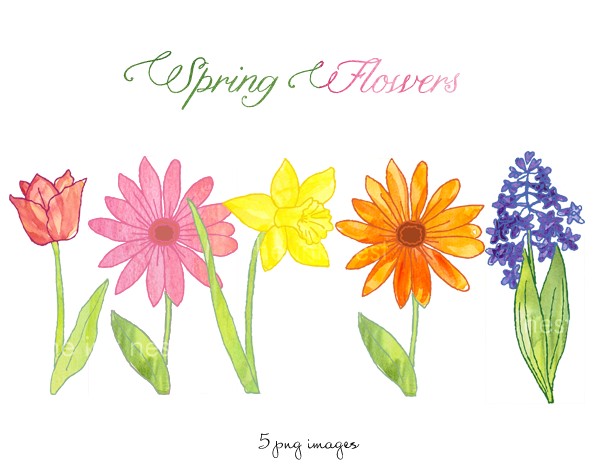 Spring flower spring clip art dr odd