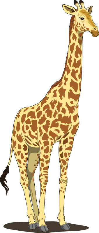 Giraffe 2 free vector
