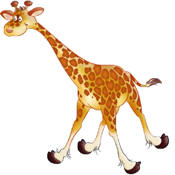Giraffe images 2