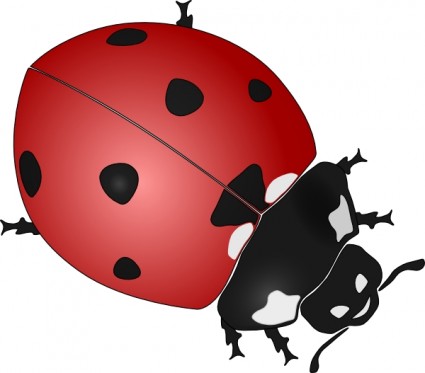 Ladybug clip art free vector in open office drawing svg svg 2