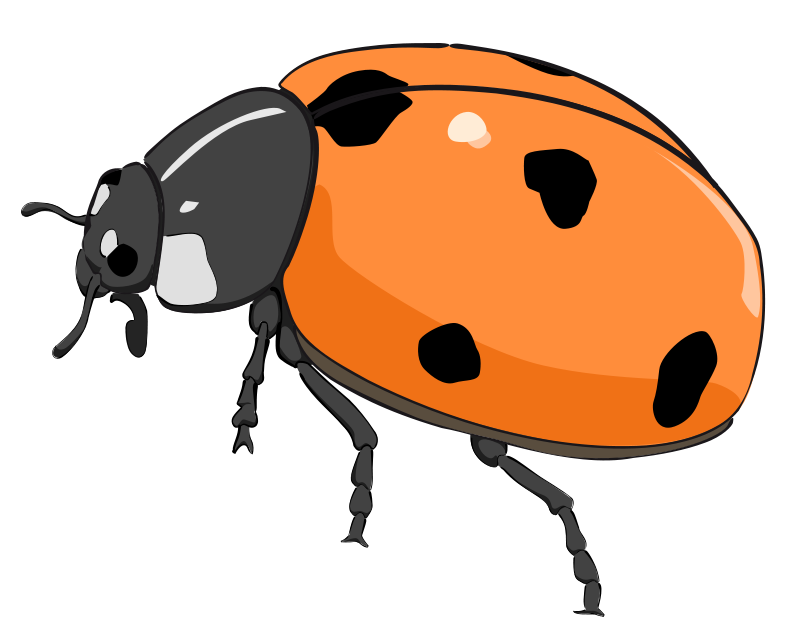 Ladybug clip art 