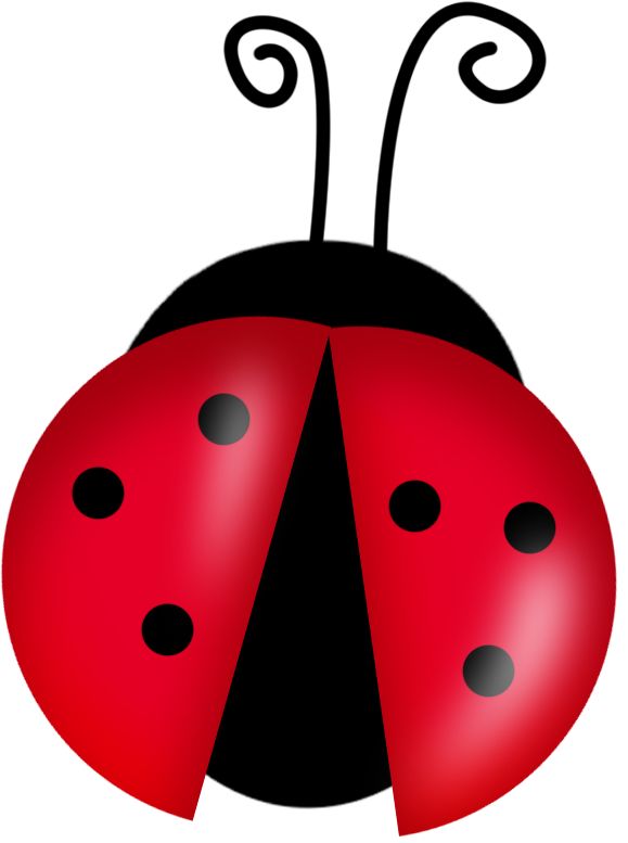Ladybug lady bug clip art google search tattoo ideas lady bug