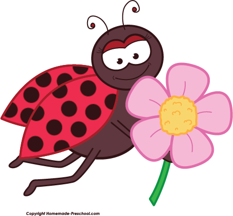 Ladybug with flower