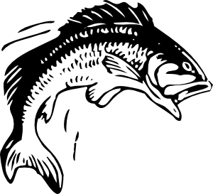Fishing jumping fish clip art at vector clip art online