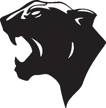 Panther mascot 