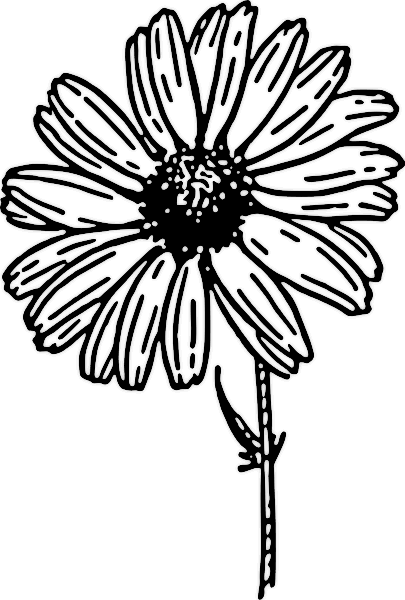 Free daisy clipart public domain flower clip art images and 2