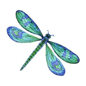 Blue dragonfly clipart google search tattoos