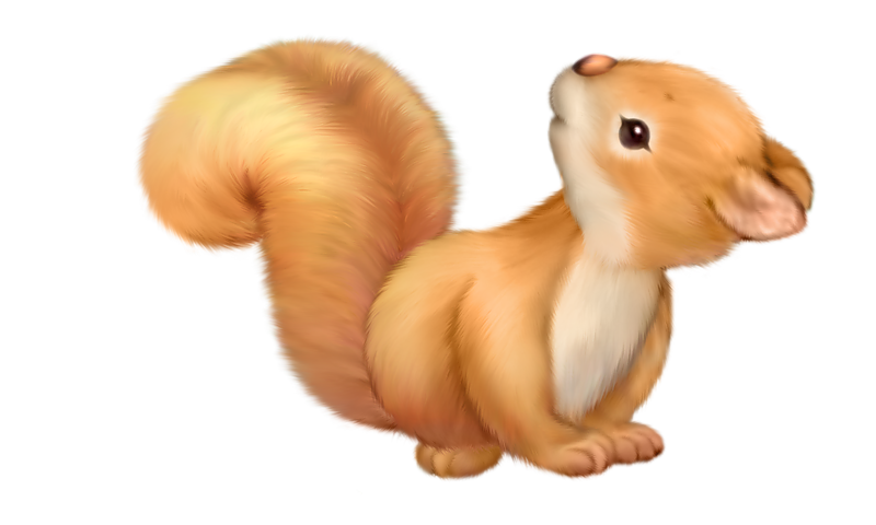 Cute squirrel free clipart 0
