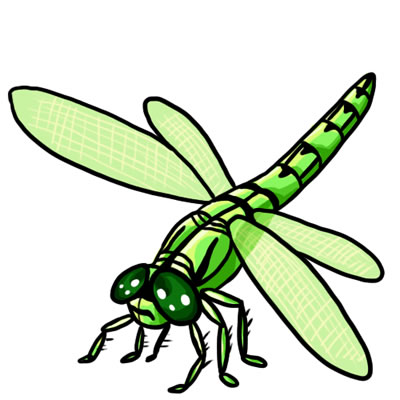 Free dragonfly clip art drawings and colorful images