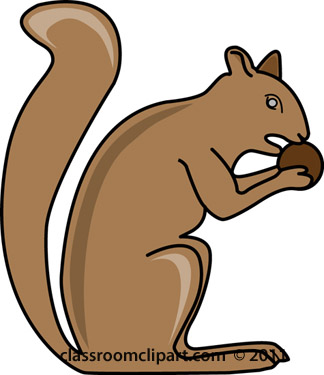 Free squirrel clipart clip art pictures graphics illustrations 3