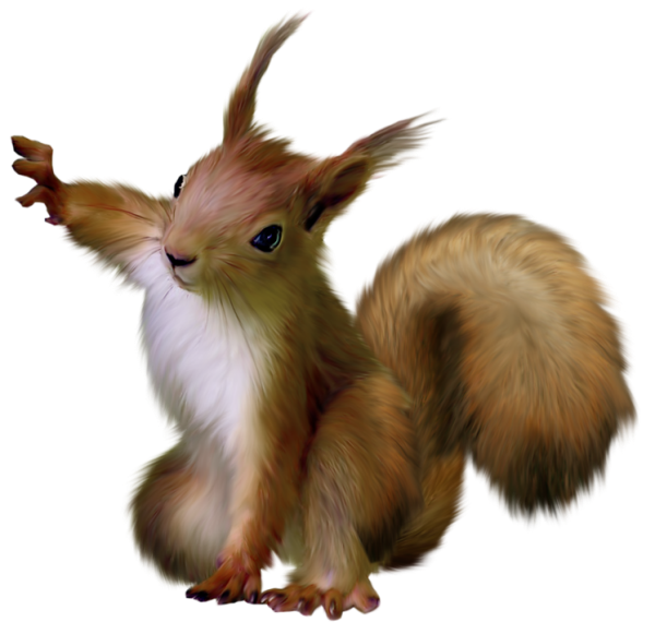 Painted squirrel clipart 0