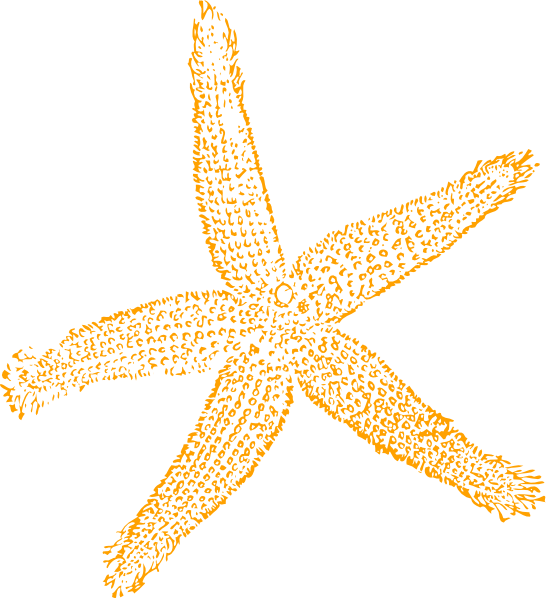 Sandy starfish clip art at vector clip art online
