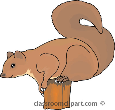Search results search results for squirrel pictures graphics 2