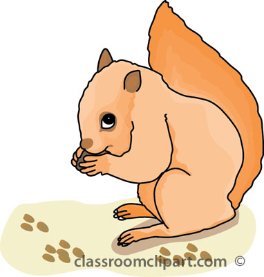Squirrel clipart squirrel eating nuts classroom clipart