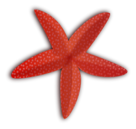 Starfish clip art 