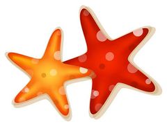 Starfish illustrations and clipart 1 starfish royalty free