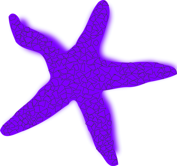Starfish orange vector clip art