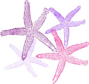 Starfish prints purplish clip art at vector clip art