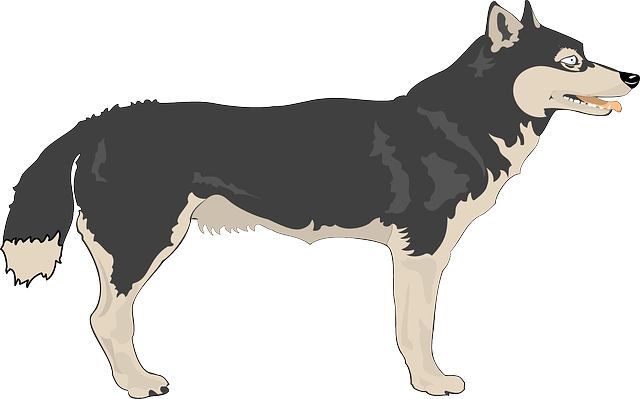 Wolf clip art 