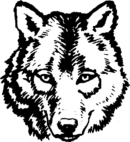 Wolf face clipart