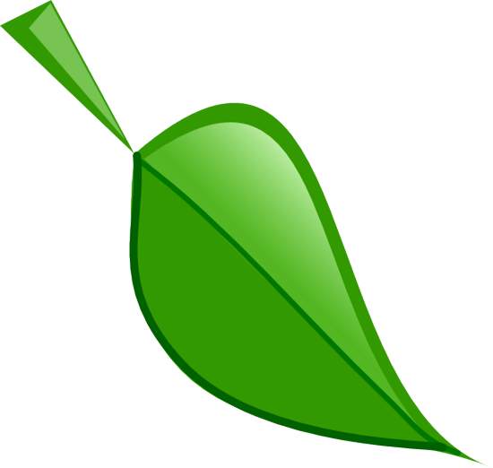 Clipart leaf clipart