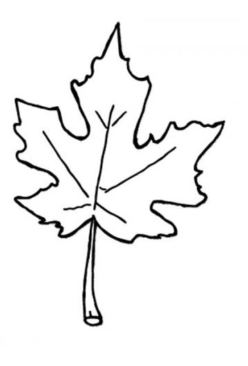 Fall leaves clip art black and white 2