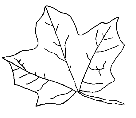Fall leaves clip art black and white 4