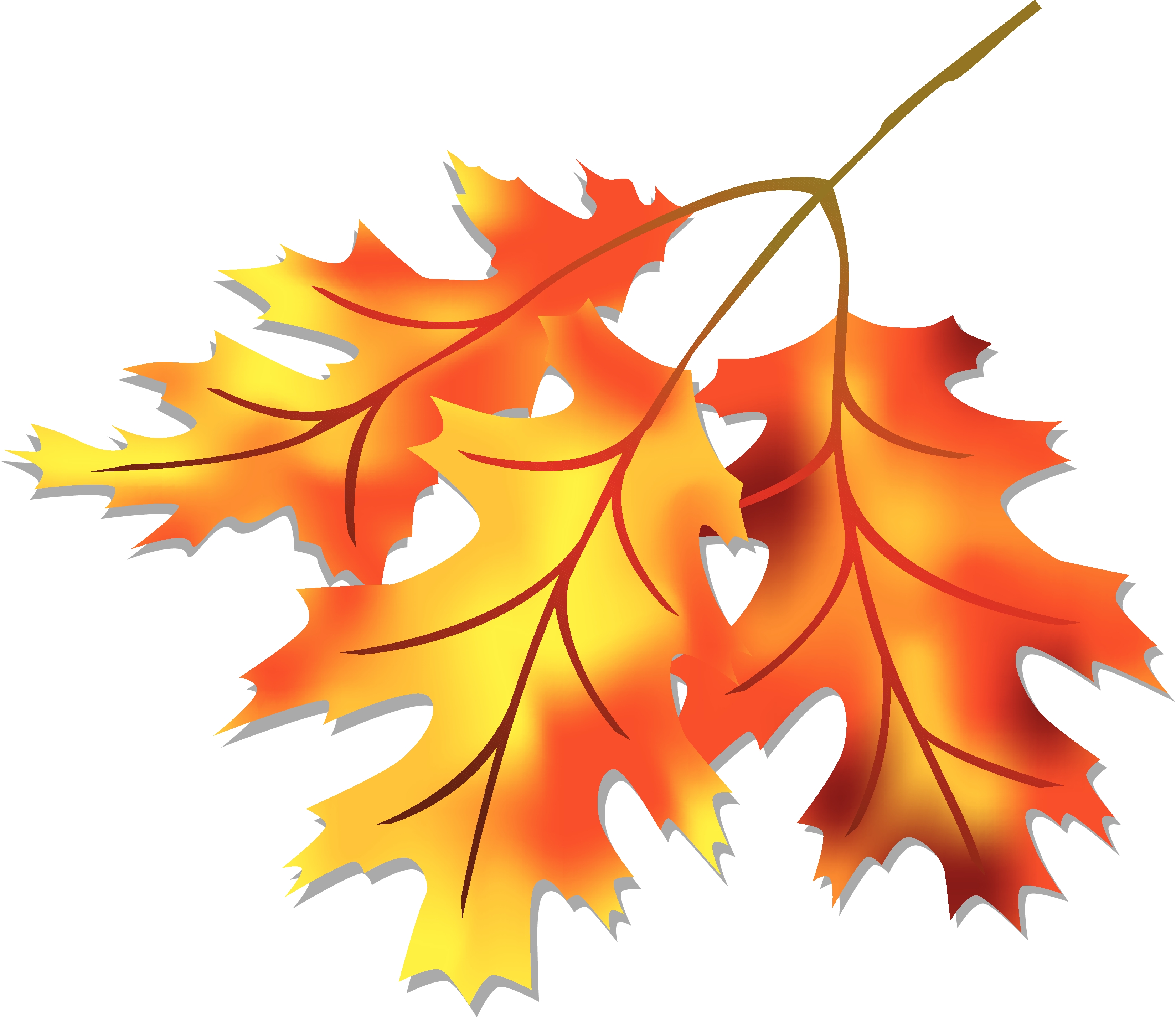 Fall leaves clip art