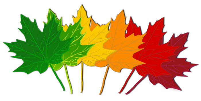 How about fall leaves clip art