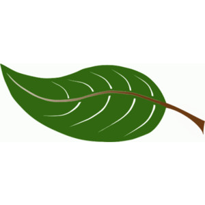 Leaf animated leaves clipart